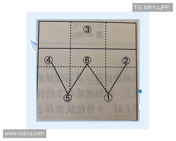 西安排球队战术解析与排球比赛策略深度探讨